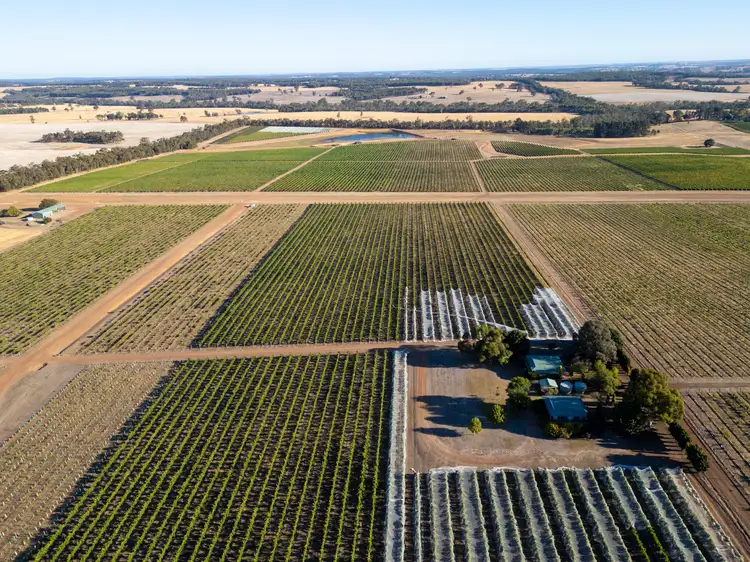Fourth view of Homely rural property listing, Yarrabee 1270 Wingebellup Road, Frankland River WA 6396