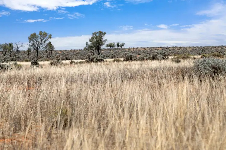 Fourth view of Homely rural property listing, 'Koomooloo Station' Koomooloo Road, Burra SA 5417
