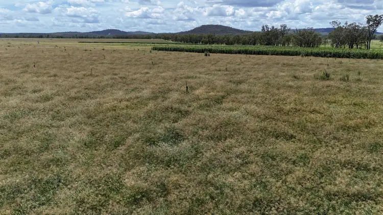 Second view of Homely rural property listing, 296 O'Bil Bil Road, Malmoe, Eidsvold QLD 4627