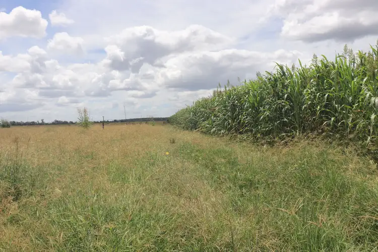 Third view of Homely rural property listing, 296 O'Bil Bil Road, Malmoe, Eidsvold QLD 4627