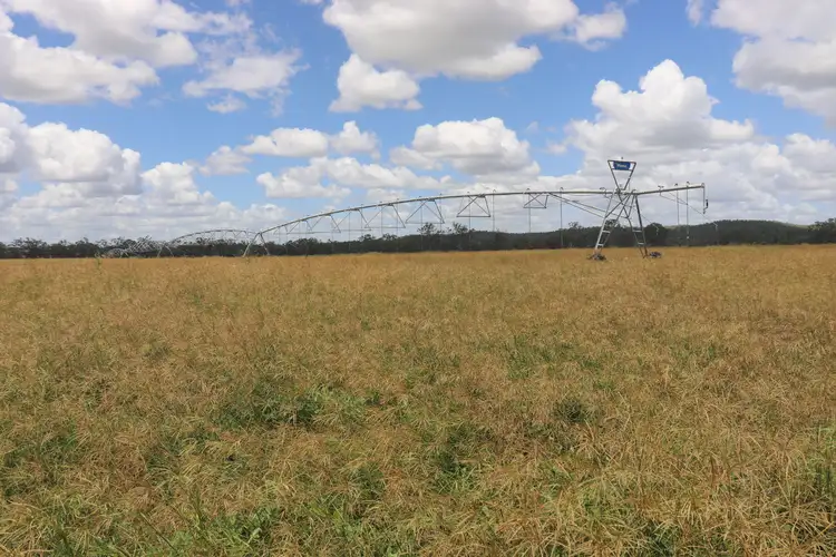 Fourth view of Homely rural property listing, 296 O'Bil Bil Road, Malmoe, Eidsvold QLD 4627