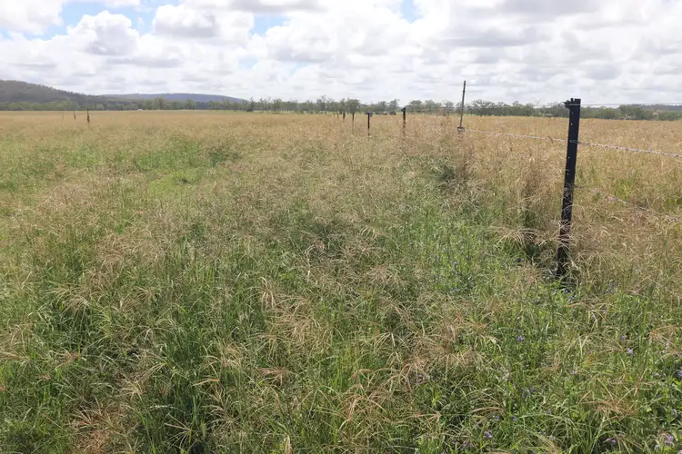 Fifth view of Homely rural property listing, 296 O'Bil Bil Road, Malmoe, Eidsvold QLD 4627