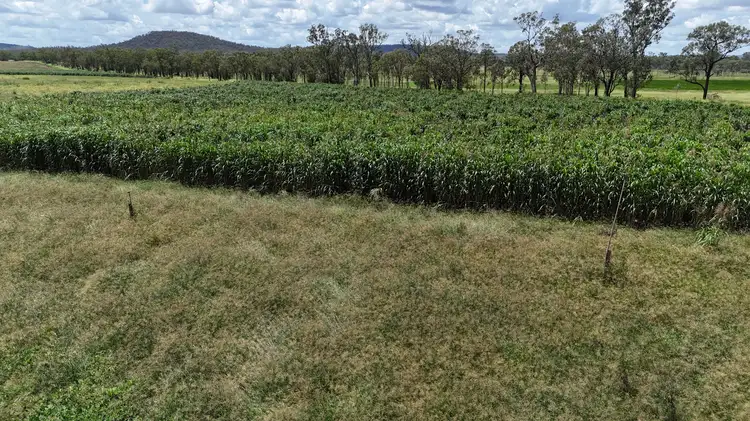 Seventh view of Homely rural property listing, 296 O'Bil Bil Road, Malmoe, Eidsvold QLD 4627