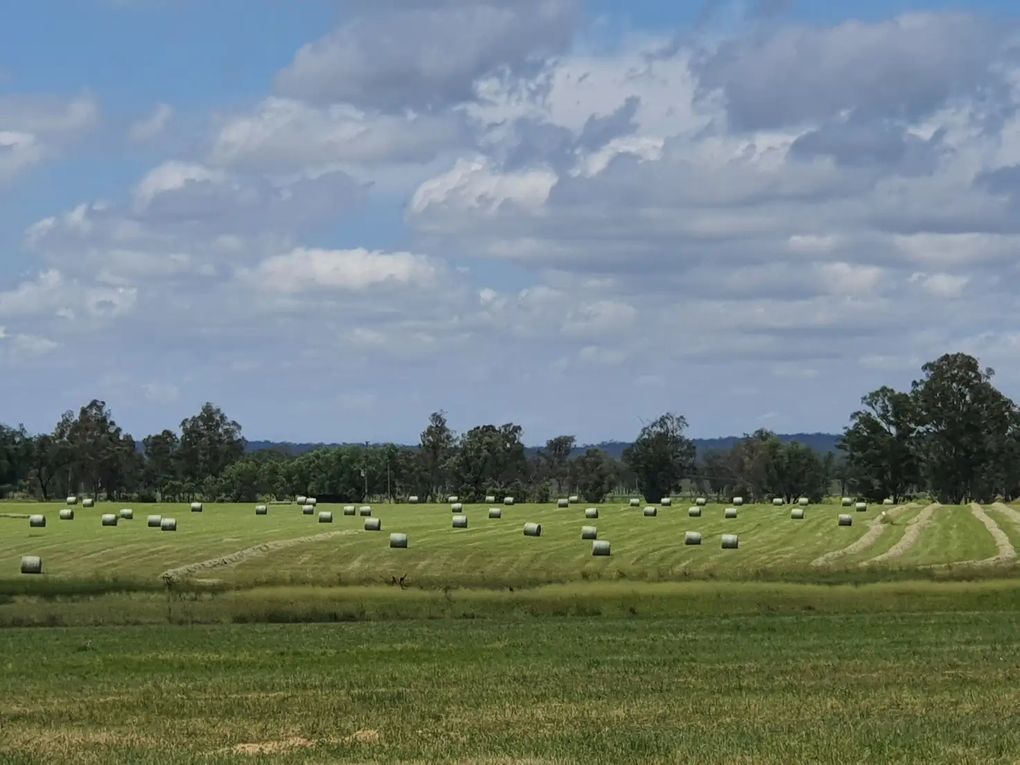 Main view of Homely rural property listing, 114 A Creek Road, Grosvenor, Eidsvold QLD 4627