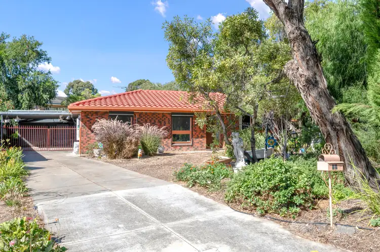 24 Robert Street, Athelstone SA 5076