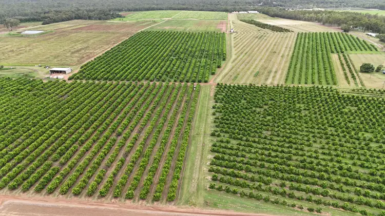 66 McLeods Road, Bullyard QLD 4671