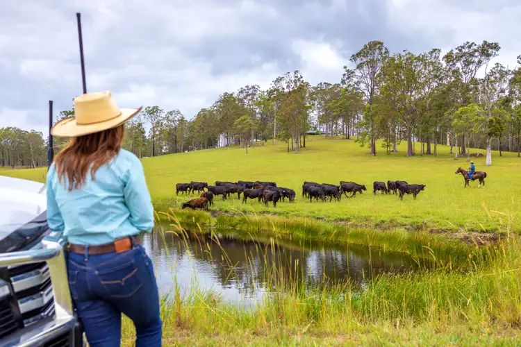 Fourth view of Homely rural property listing, 80 Salisbury Way, Shallow Bay NSW 2428