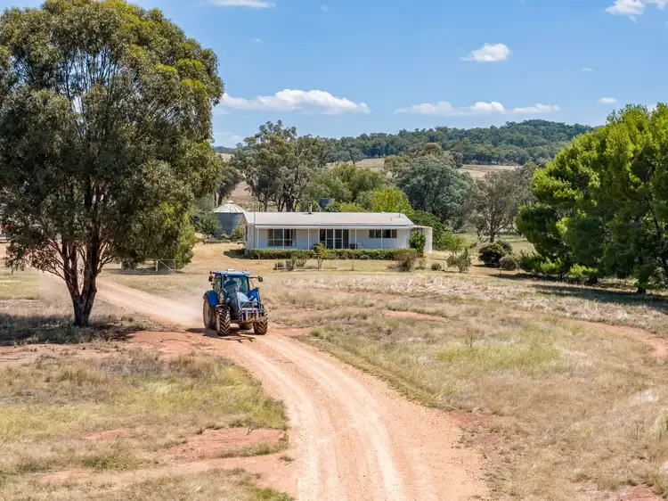Seventh view of Homely rural property listing, "Sunnyside" 664 Mcdonalds Lane, Grenfell NSW 2810
