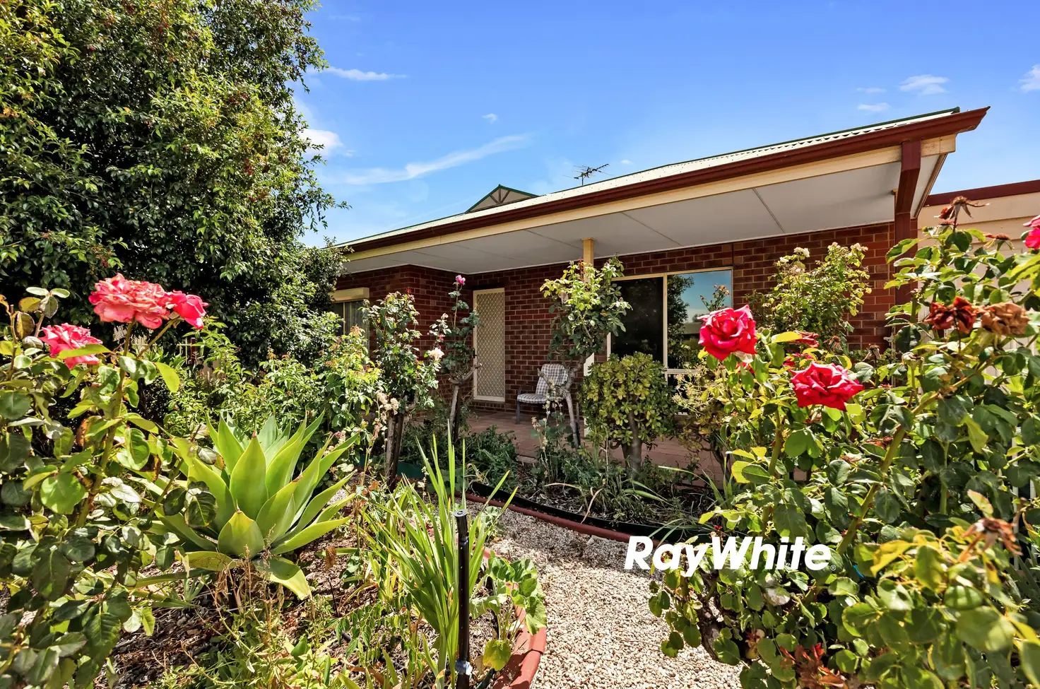Main view of Homely house listing, 31 Matthew Flinders Drive, Mildura VIC 3500