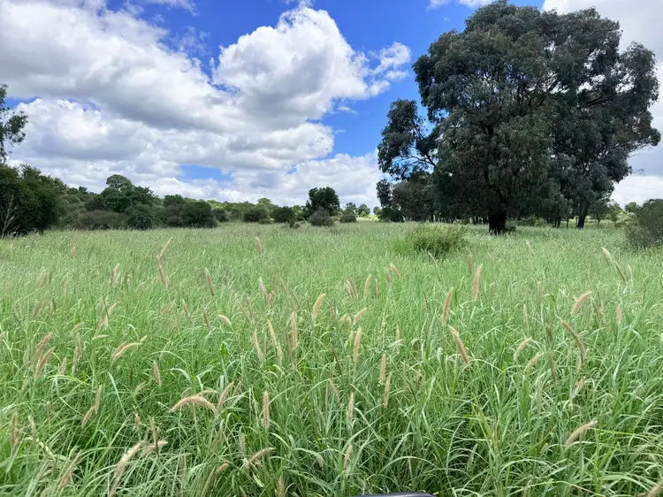Fourth view of Homely rural property listing, 37925 Burnett Highway, Lawgi Dawes QLD 4716
