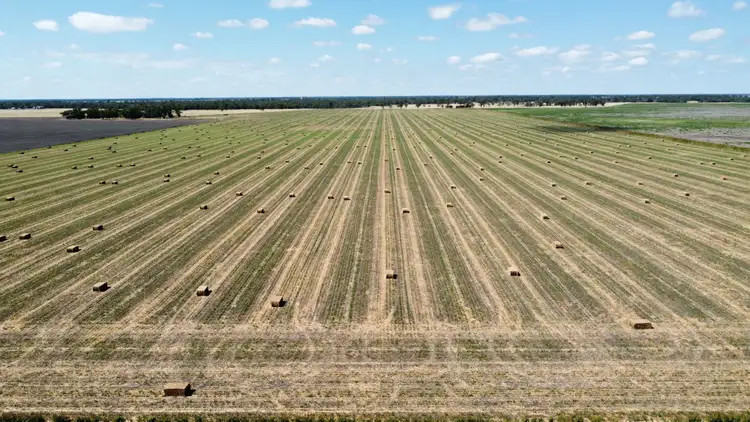 Third view of Homely rural property listing, 189 Minnel Road, Toobeah QLD 4498