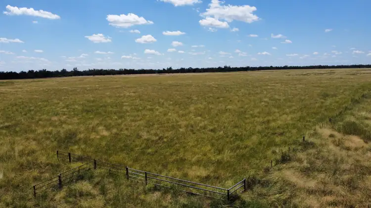 Sixth view of Homely rural property listing, 189 Minnel Road, Toobeah QLD 4498