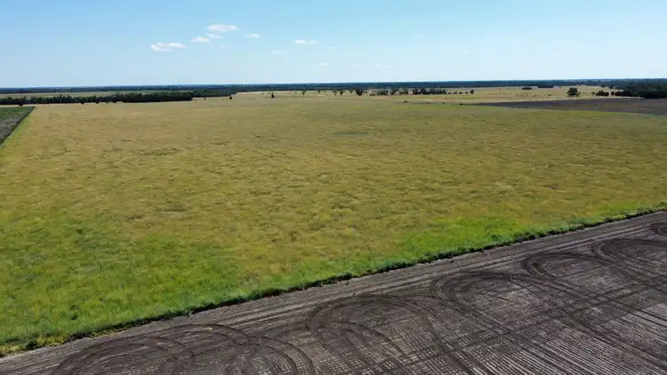 Seventh view of Homely rural property listing, 189 Minnel Road, Toobeah QLD 4498