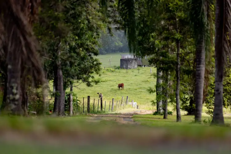 Fifth view of Homely house listing, 165 Aherns Road, Conondale QLD 4552