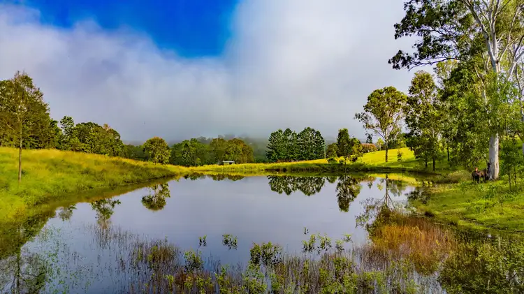 Sixth view of Homely house listing, 165 Aherns Road, Conondale QLD 4552