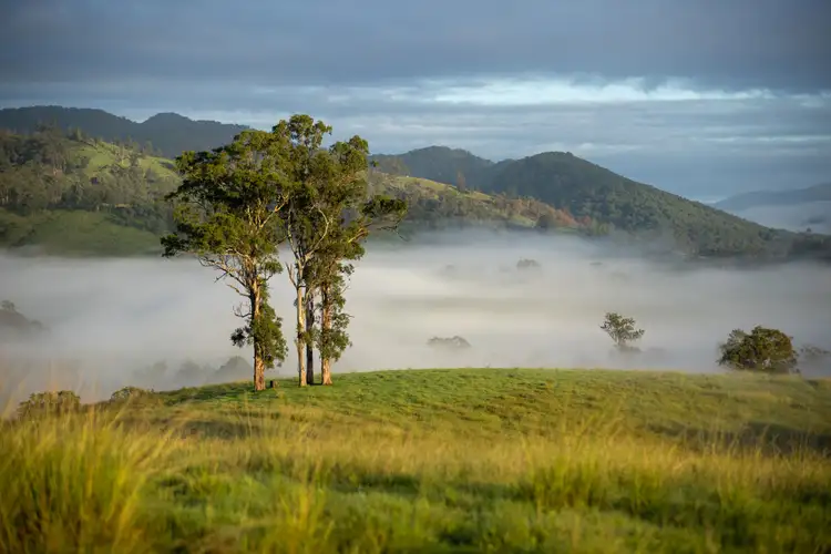 Second view of Homely rural property listing, 1148 Thunderbolts Way, Bowman NSW 2422