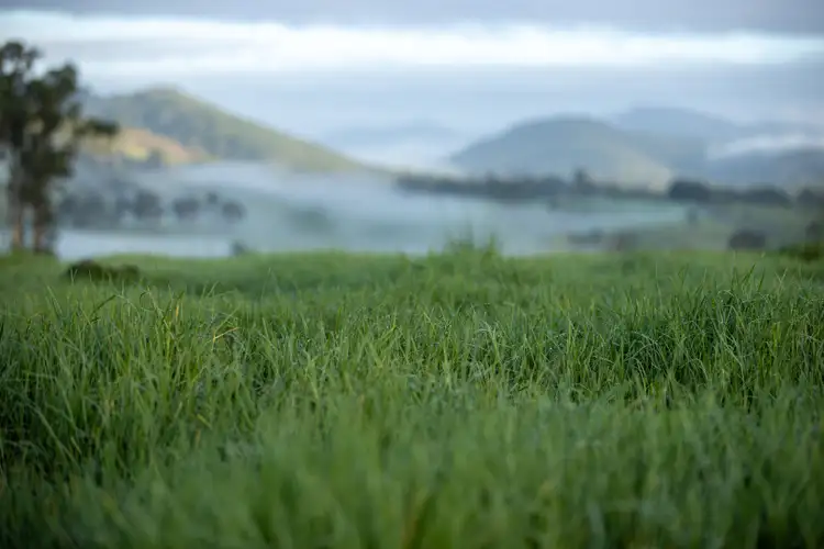 Third view of Homely rural property listing, 1148 Thunderbolts Way, Bowman NSW 2422