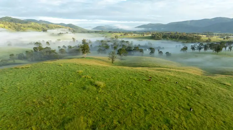 Sixth view of Homely rural property listing, 1148 Thunderbolts Way, Bowman NSW 2422