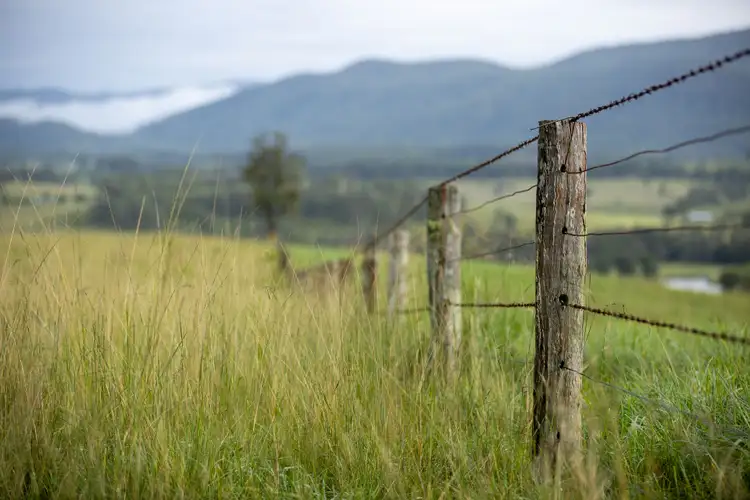 Seventh view of Homely rural property listing, 1148 Thunderbolts Way, Bowman NSW 2422