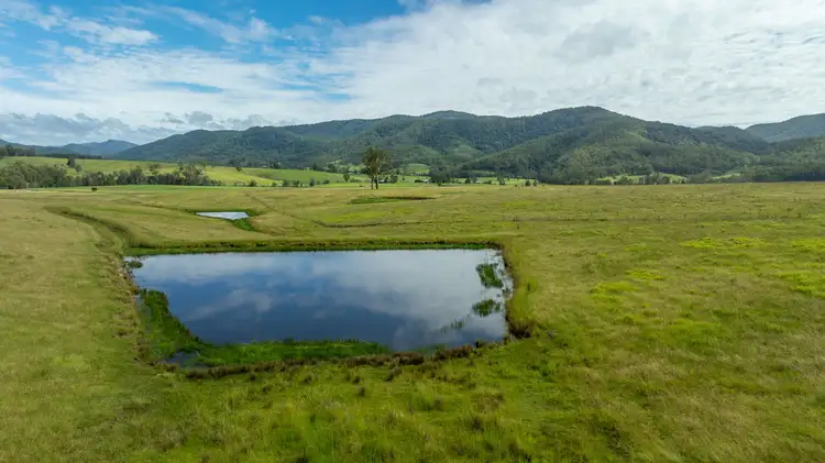Third view of Homely rural property listing, 1301 Thunderbolts Way, Bowman NSW 2422