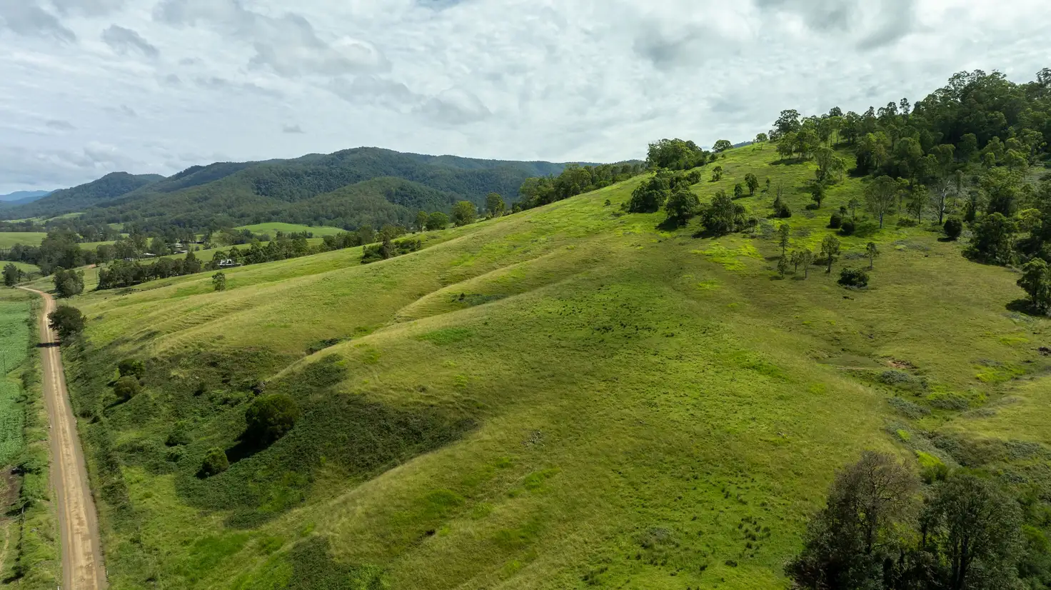 Main view of Homely rural property listing, 664 Bowman Farm Road, Bowman NSW 2422
