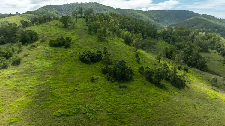 Fourth view of Homely rural property listing, 664 Bowman Farm Road, Bowman NSW 2422