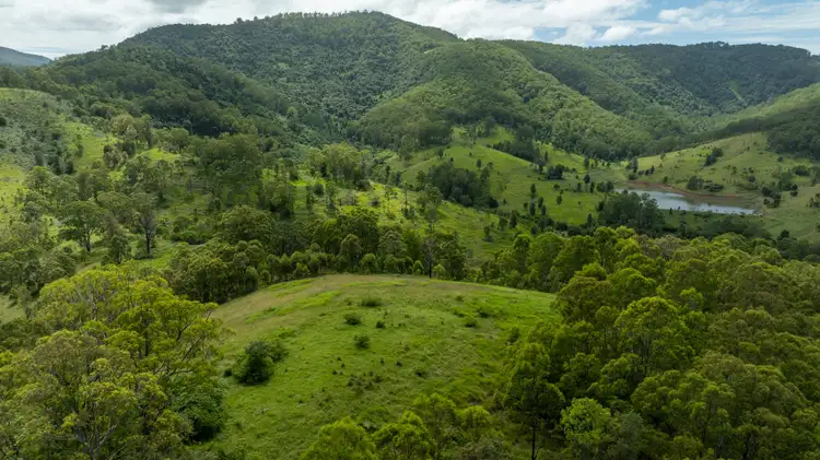 Fifth view of Homely rural property listing, 664 Bowman Farm Road, Bowman NSW 2422