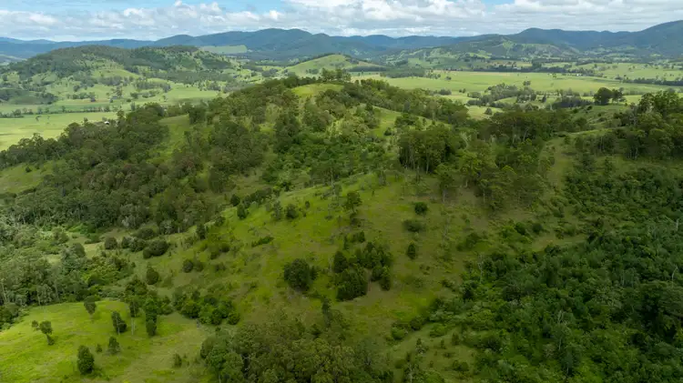 Seventh view of Homely rural property listing, 664 Bowman Farm Road, Bowman NSW 2422