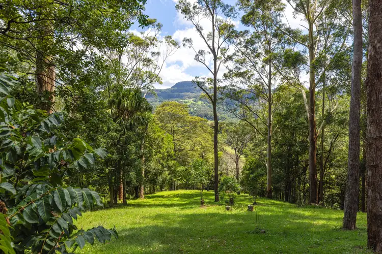 60 Hillandale Road
