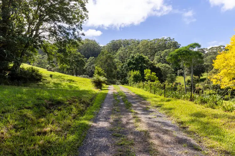 Second view of Homely rural property listing, 60 Hillandale Road, Broughton Vale NSW 2535