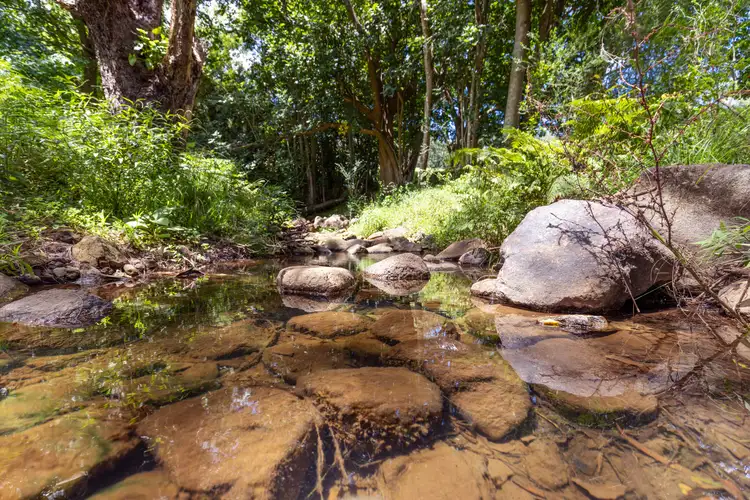 Third view of Homely rural property listing, 60 Hillandale Road, Broughton Vale NSW 2535