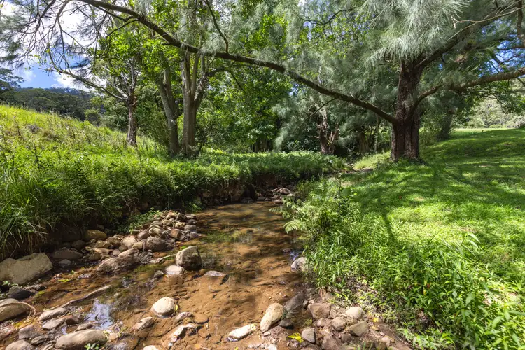 Fourth view of Homely rural property listing, 60 Hillandale Road, Broughton Vale NSW 2535