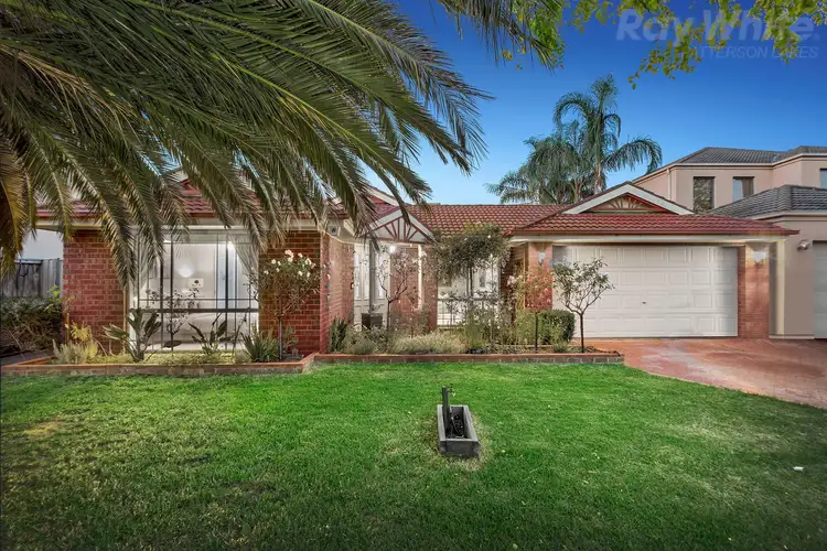 Main view of Homely house listing, 19 Atlantis Court, Aspendale Gardens VIC 3195