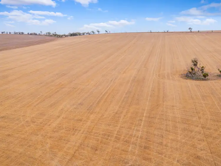 Main view of Homely rural property listing, Ridges & Mallee Vale Nantawarra Road, Nantawarra SA 5550