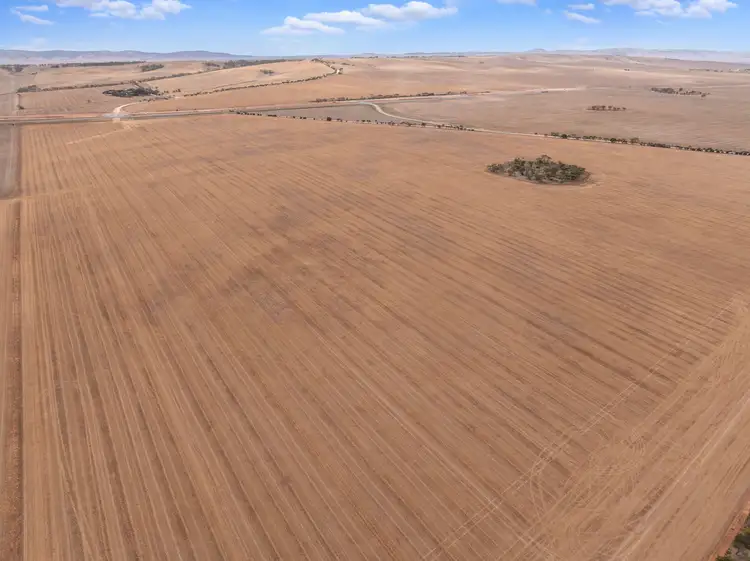 Second view of Homely rural property listing, Ridges & Mallee Vale Nantawarra Road, Nantawarra SA 5550