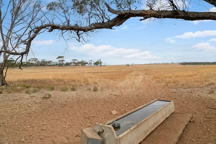 Fifth view of Homely rural property listing, Ridges & Mallee Vale Nantawarra Road, Nantawarra SA 5550