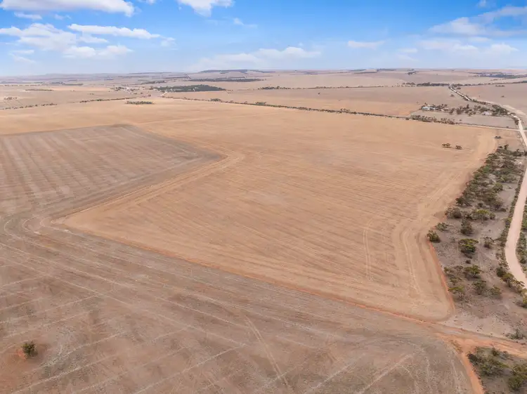Seventh view of Homely rural property listing, Ridges & Mallee Vale Nantawarra Road, Nantawarra SA 5550