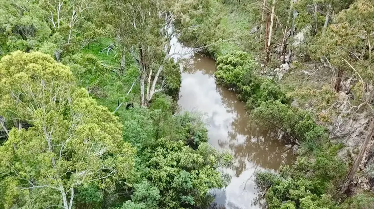 Fifth view of Homely rural property listing, Lot 12 Deems Road, Monogorilby QLD 4626