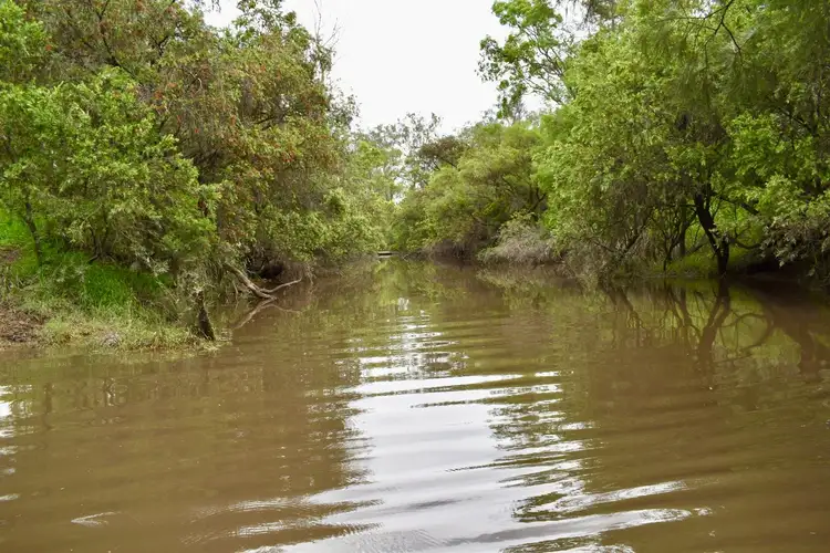 Sixth view of Homely rural property listing, Lot 12 Deems Road, Monogorilby QLD 4626