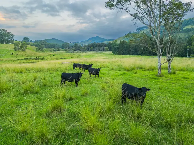 Fifth view of Homely rural property listing, 535 Salisbury Rd Munni Via, Dungog NSW 2420