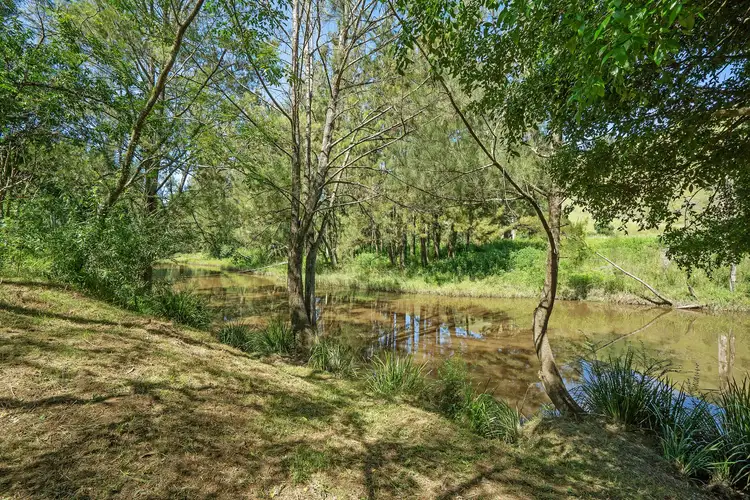 Sixth view of Homely rural property listing, 535 Salisbury Rd Munni Via, Dungog NSW 2420