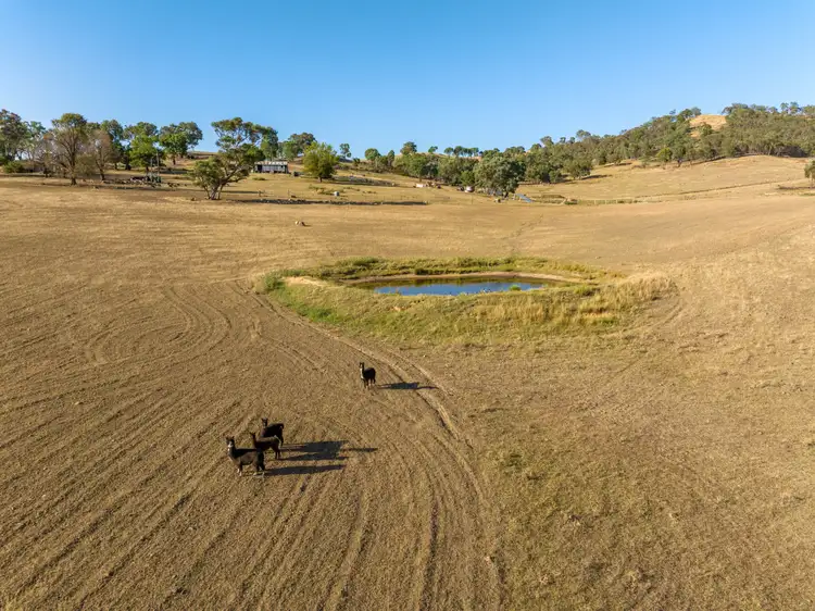 Second view of Homely rural property listing, 2543 Westbrook Road, Oberne Creek NSW 2650