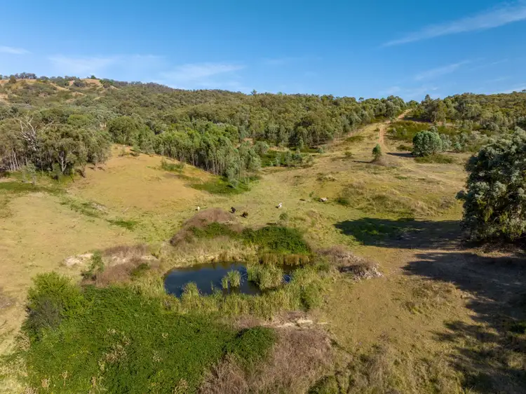 Seventh view of Homely rural property listing, 2543 Westbrook Road, Oberne Creek NSW 2650