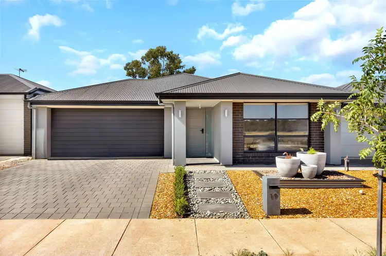 Main view of Homely house listing, 19 Heinemann Circuit, Hillier SA 5116