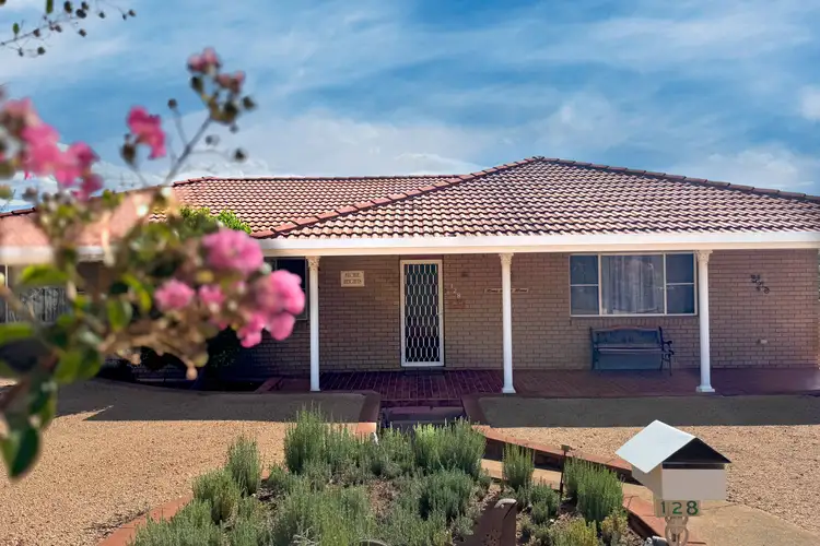 128 Euchie Street, Peak Hill NSW 2869