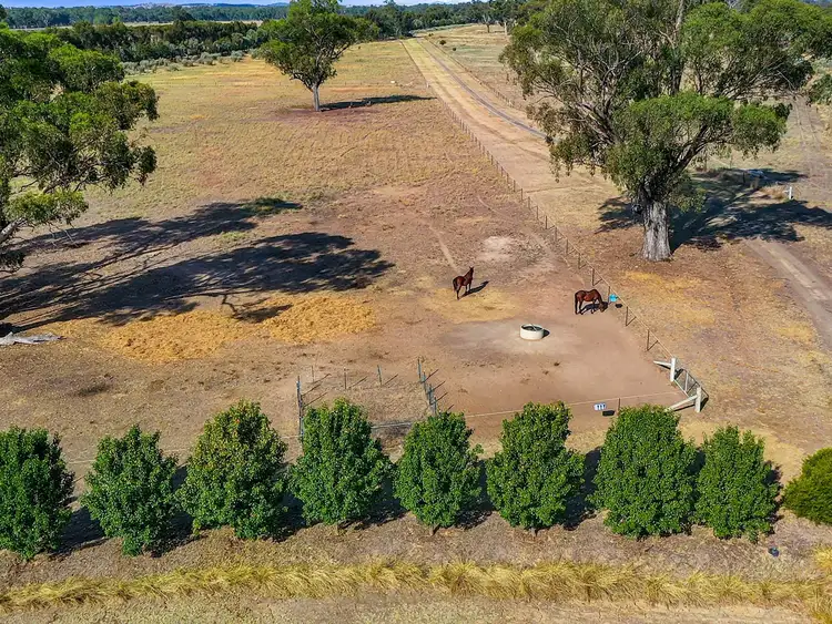 Seventh view of Homely rural property listing, 751 Police Paddocks Road, Carlyle VIC 3685