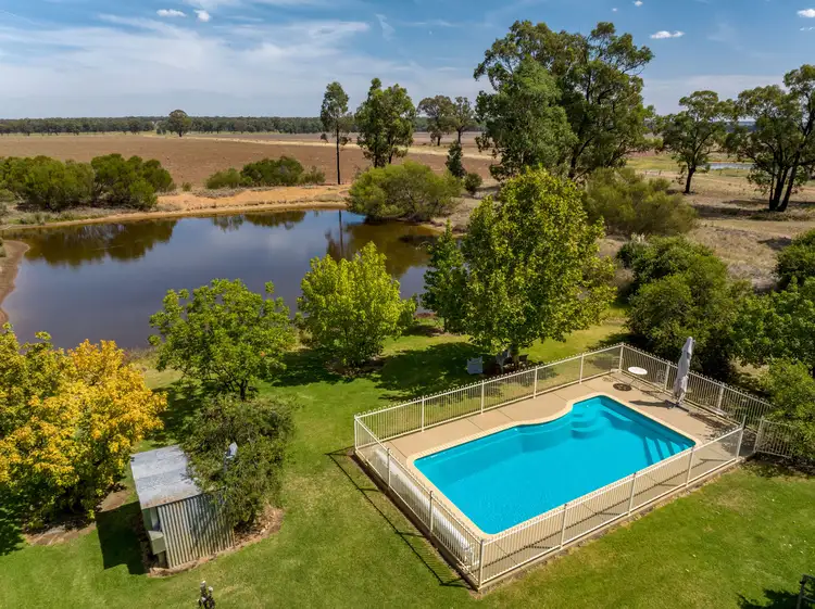 Second view of Homely rural property listing, 969 Thanowring Road, Temora NSW 2666
