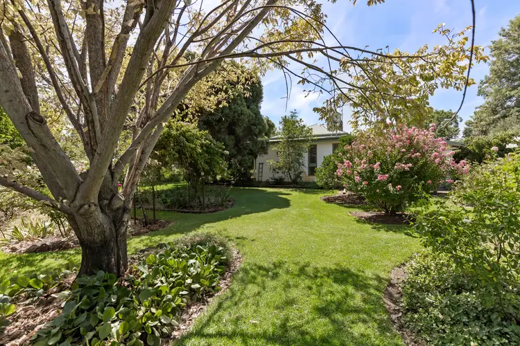 Fourth view of Homely rural property listing, 969 Thanowring Road, Temora NSW 2666