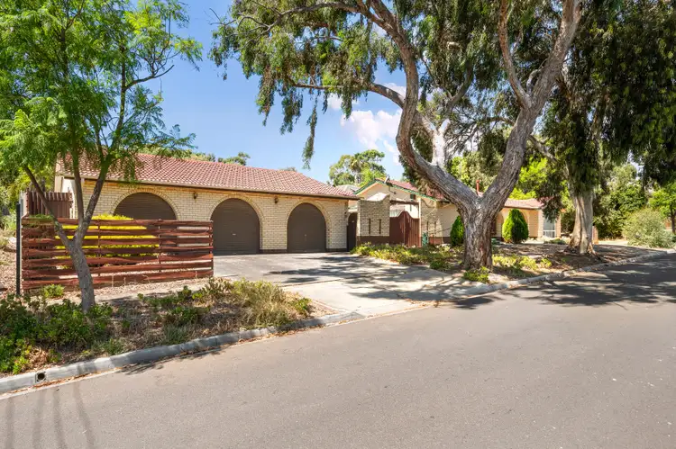 Second view of Homely house listing, 67 Auricchio Avenue, Pasadena SA 5042