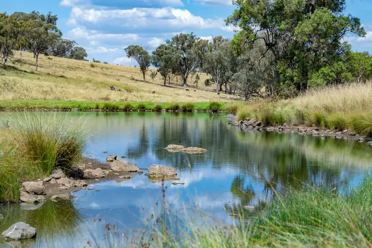 Third view of Homely rural property listing, 6690 Newell Highway, Gowang NSW 2357